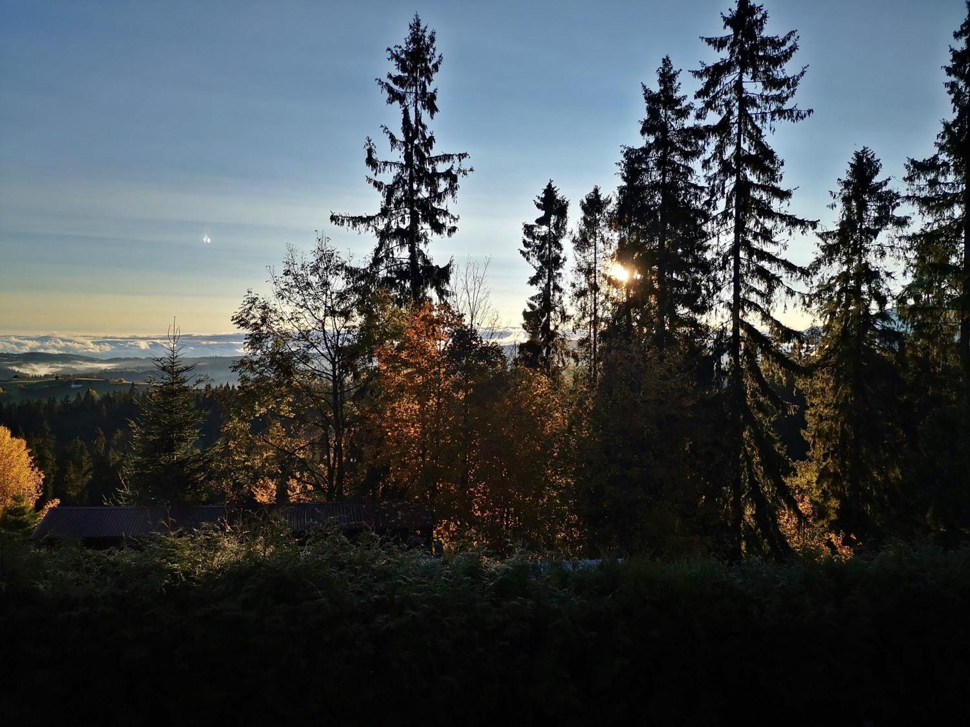 Willa Bukovinka - bliskość lasu, wyciągów i term BON TURYSTYCZNY Bukowina Tatrzańska Exterior foto
